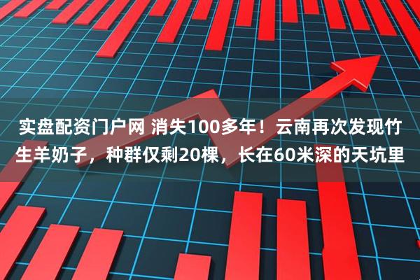 实盘配资门户网 消失100多年！云南再次发现竹生羊奶子，种群仅剩20棵，长在60米深的天坑里