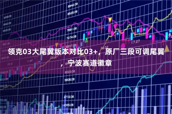 领克03大尾翼版本对比03+，原厂三段可调尾翼，宁波赛道徽章