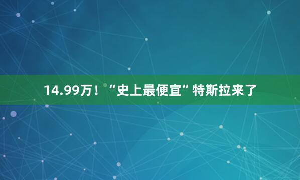 14.99万！“史上最便宜”特斯拉来了
