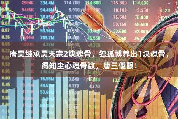 唐昊继承昊天宗2块魂骨，独孤博养出1块魂骨，得知尘心魂骨数，唐三傻眼！