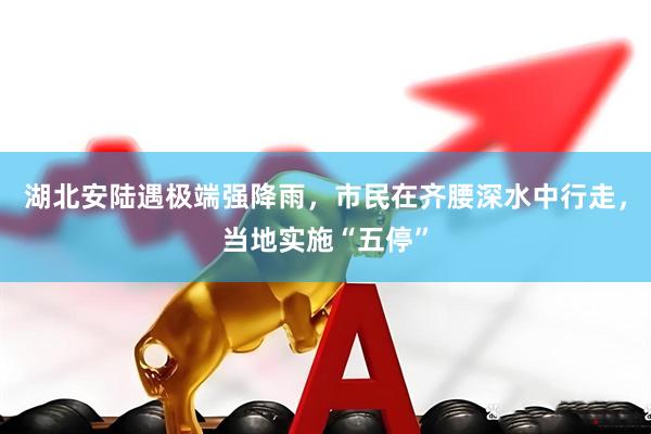 湖北安陆遇极端强降雨，市民在齐腰深水中行走，当地实施“五停”